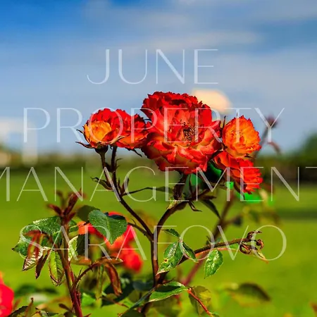 June One Bedroom Sea View Diamond Апартамент *